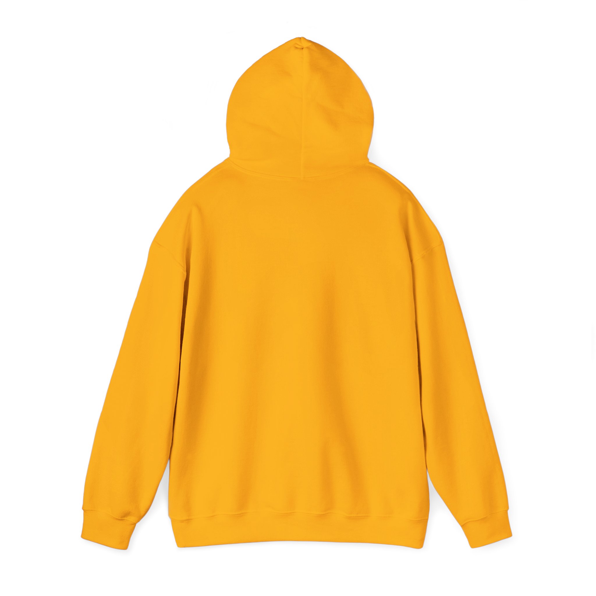 RAGE Unisex Heavy Blend™ Hooded Sweatshirt - Image 23